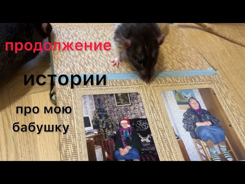 Видео: Крысы и фотоальбом. Продолжение истории про бабушку