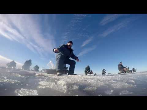 Видео: Безмотылка, самостоятельная пайка вольфрама.  Ловим окуня. Рыбалка с безмотылкой на Ладоге.
