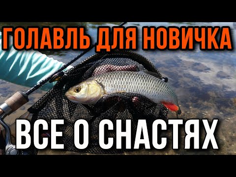 Видео: Голавль для новичка, все о снастях.