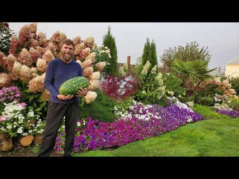 Видео: Хочу познакомить вас с моим мужем.