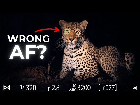 Видео: Главные ошибки, которых следует избегать профессионалам для получения более четких фотографий
