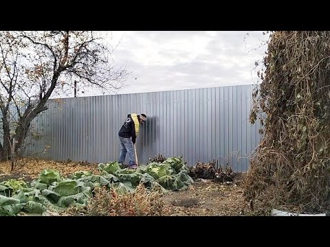 Видео: Семья из Казахстана.Муж вернулся домой.Готовлю вкусняшки.Прибрались в огороде.Вкусная пицца.Будни.