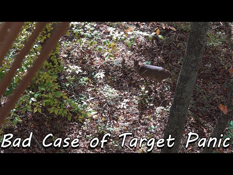 Видео: Тяжёлый случай паники. Олени повсюду! Традиционная охота с луком в Вирджинии.