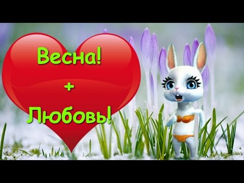 Видео: Zoobe Зайка Если в окно лучиком весна :-)