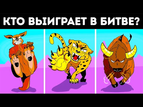 Видео: 16 животных, обладающих самой мощной силой удара