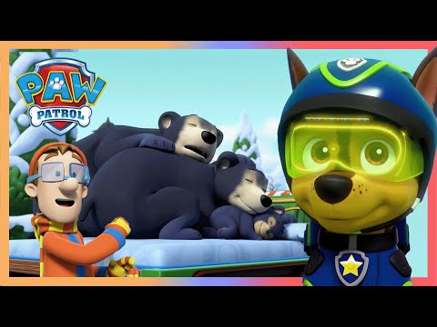 Видео: Семейството мечки заспива в града!  - PAW Patrol Bulgarian - карикатури за деца