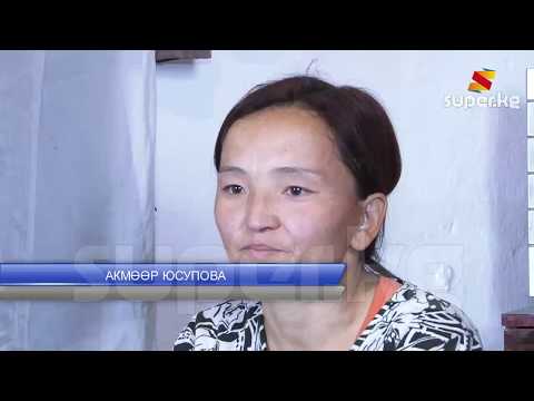 Видео: "Жолдошум 10 жаштагы кызыбызды турмушка узат деп кыйнады”