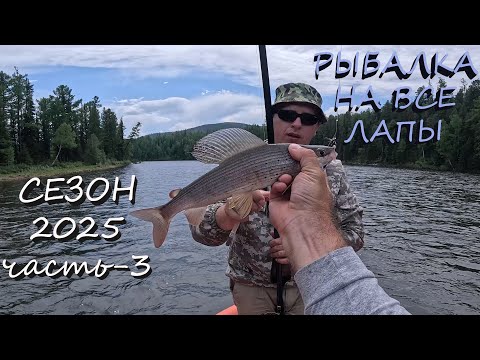 Видео: РЫБАЛКА В МУТНЫХ ВОДАХ БОЛЬШОГО  ЕНИСЕЯ