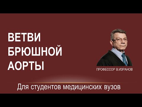 Видео: Брюшная аорта