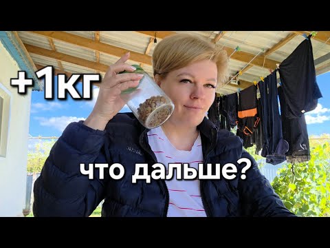 Видео: ХОРОШО ПОГУЛЯЛИ, НО +1КГ
