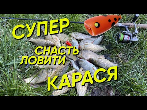 Видео: Наловив на ПОПЛА-ПОППЕР ВІДРО КАРАСЯ за ДВІ ГОДИНИ🐟ПОПЛА-ПОППЕР ловить всю РИБУ!