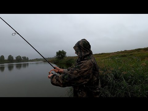 Видео: Карпфишинг-Омск. Проба пера