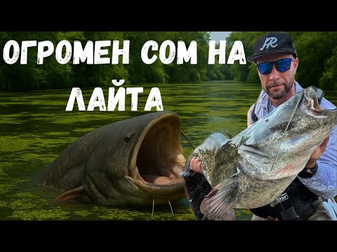 Видео: Огромен сом на ЛАЙТА ! Мисията възможна ?