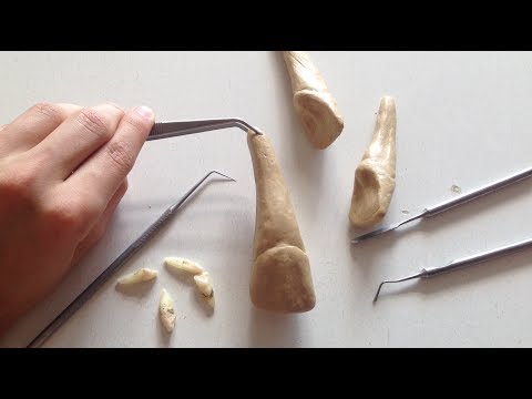 Видео: РЕЗЦЫ | ПРАКТИКА | МОДЕЛИРОВАНИЕ ЗУБОВ | ЧАСТЬ 3