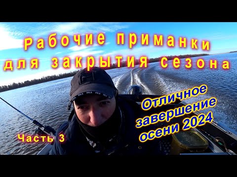 Видео: Рабочие приманки#Рыбалка в троллинг# Закрытие сезона# Иртыш радует# Часть 3