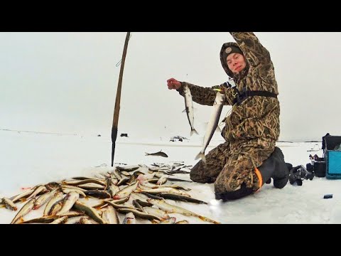 Видео: РЕКА КИШИТ МОРСКОЙ РЫБОЙ!! ПЕРВЫЙ ЛЁД В ЗАПОЛЯРЬЕ!!!