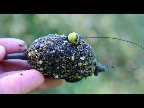 Видео: С кормушкой флэт улов крупнее, рыбалка летом 2025