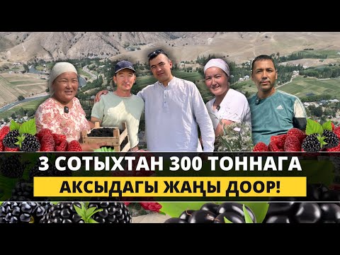 Видео: Классташтар айыл турмушун кантип өзгөрттү?