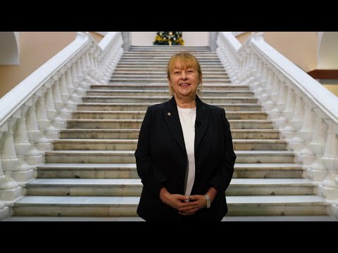 Видео: Экскурсия декана Елены Леонидовны Вартановой по факультету журналистики