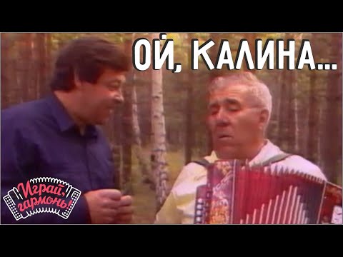 Видео: Играй, гармонь! | Ой, калина... | Иван Плешивцев и Геннадий Заволокин | 1992