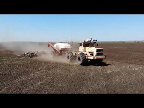 Видео: Трактор кировец. Сеем горчицу.