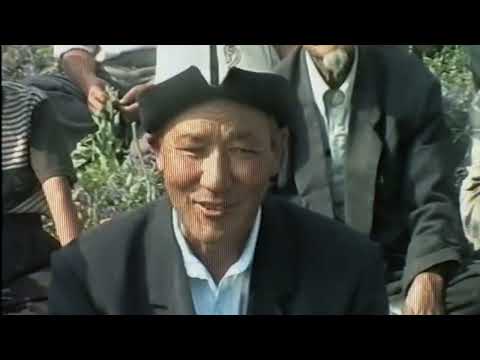 Видео: Ылай Талаа айлында 2002-жылы Ак тандай тартылган. КАЗЫНАДАН
