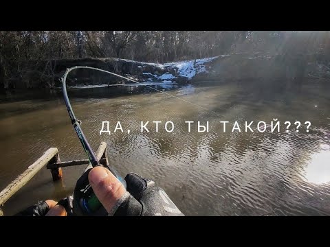 Видео: День рождения на реке. Ловля на крупные силиконовые приманки.