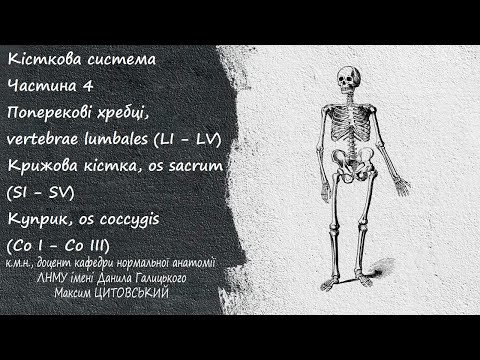 Видео: Остеологія/Частина 4/Поперекові хребці, vertebrae lumbales/Крижова кістка, os sacrum/