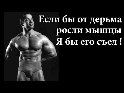 Видео: Арнольд которого ты не знаешь - химия, пр0ститутки и мужики