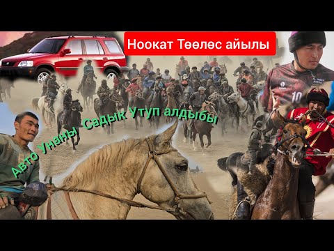 Видео: НООКАТ  АЛАМАН УЛАК  АВТО УНАА КИМГЕ КЕТТИ  КӨРӨБҮЗ  