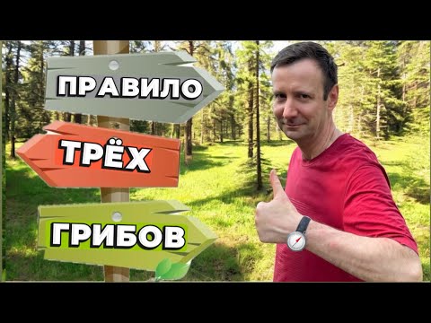 Видео: 🔥ПРАВИЛО ТРЕХ ГРИБОВ РАБОТАЕТ!💥НАШЁЛ новый вид - ГРИБЫ ЛОКАТОРЫ💥! Грибы 2024