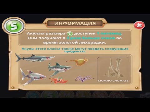 Видео: Hungry Shark World - Докачиваю ЧЕРНОПЕРУЮ РИФОВУЮ АКУЛУ До 10 уровня