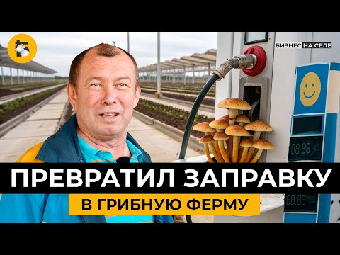 Видео: Грибной король на районе. Как фермер из Татарстана разбогател на вешенках