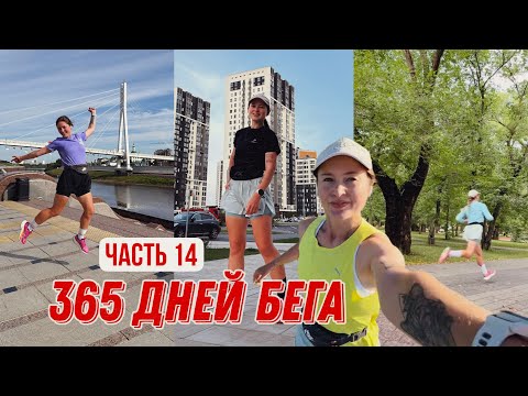 Видео: Бегаю двести дней подряд | Два месяца до марафона | 197-212 день