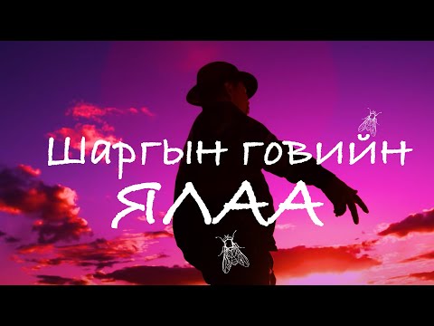 Видео: Shargiin goviin yalaa | Шаргын говийн ялаа | Capital Band Quiza Hits