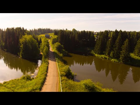 Видео: Так может только МОРМЫШИНГ! Эффективная ловля окуня на деревенском пруду