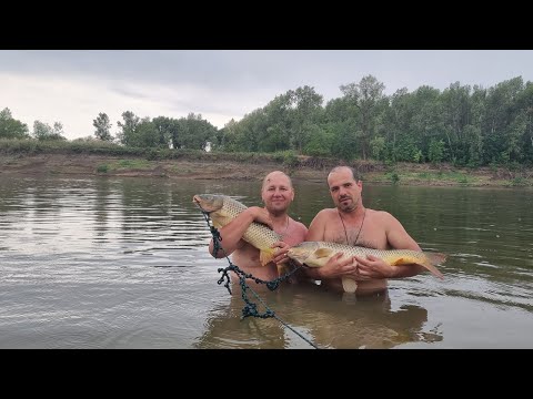 Видео: Рыбалка на Ахтубе, август 2025, 4-я серия.