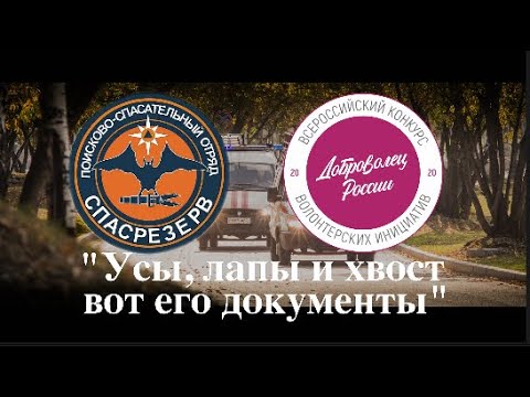 Видео: Усы, лапы и хвост - вот его документы!