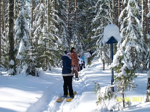 Видео: УСЛЫШАТЬ ТИШИНУ