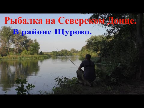 Видео: Рыбалка на Северском Донце.В районе Щурово.