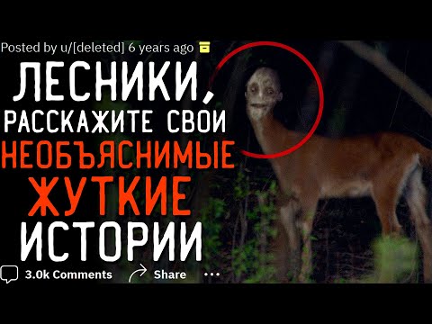 Видео: Необъяснимые и Жуткие Истории Лесников #2