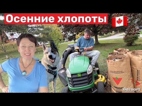 Видео: Жизнь в Канадской деревне// Подкормка пчёл в зиму, осенние работы на участке ￼