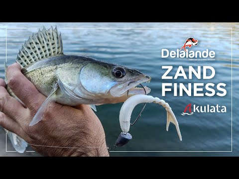 Видео: За бели риби от брега. Zand Finess отново в действие