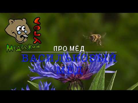 Видео: Про МЁД - васильковый мёд