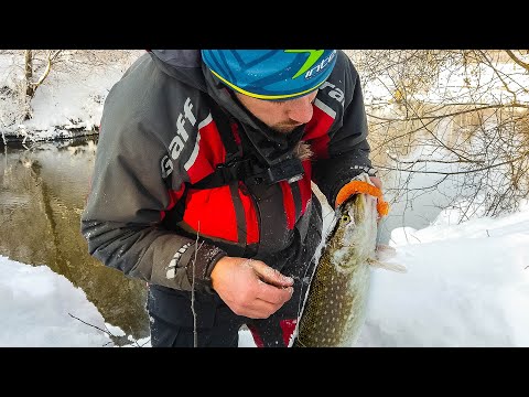 Видео: Нашел причины почему не клюет и способ как ловить больше. Ловля щуки на спиннинг [Пора ловить щуку]