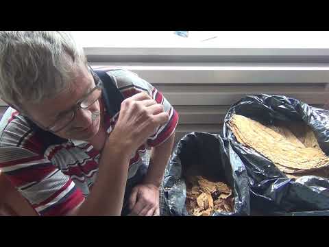 Видео: Дегустация табака 1