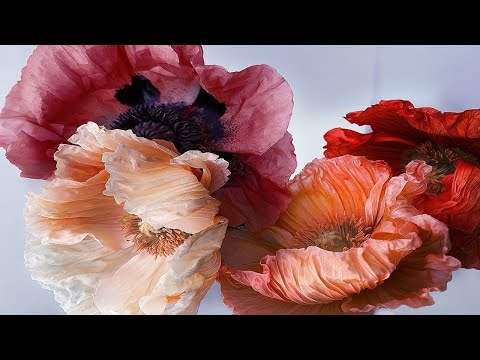 Видео: Мой маленький вернисаж картин