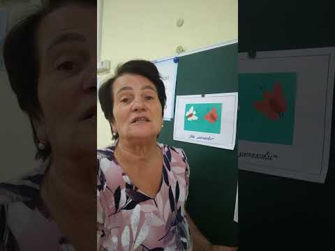 Видео: 26 сентября 2025 г.