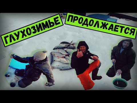 Видео: Крупная плотва зимой | Глухозимье.