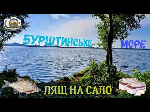 Видео: Бурштинське море. Риболовля з ночівлею.  Підлящ на сало!